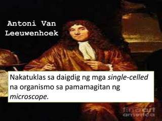 Antoni Van
Leeuwenhoek
Nakatuklas sa daigdig ng mga single-celled
na organismo sa pamamagitan ng
microscope.
 