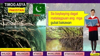 #SILANGAN #TIMOG #KANLURAN#HILAGA 1ST GRADING#TIMOGSILANGAN
• Sa baybaying dagat
matatagpuan ang mga
gubat bakawan
TIMOG A...