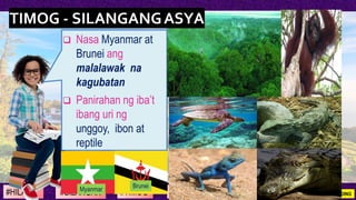 #SILANGAN #TIMOG #KANLURAN#HILAGA 1ST GRADING#TIMOGSILANGAN
❑ Nasa Myanmar at
Brunei ang
malalawak na
kagubatan
❑ Paniraha...