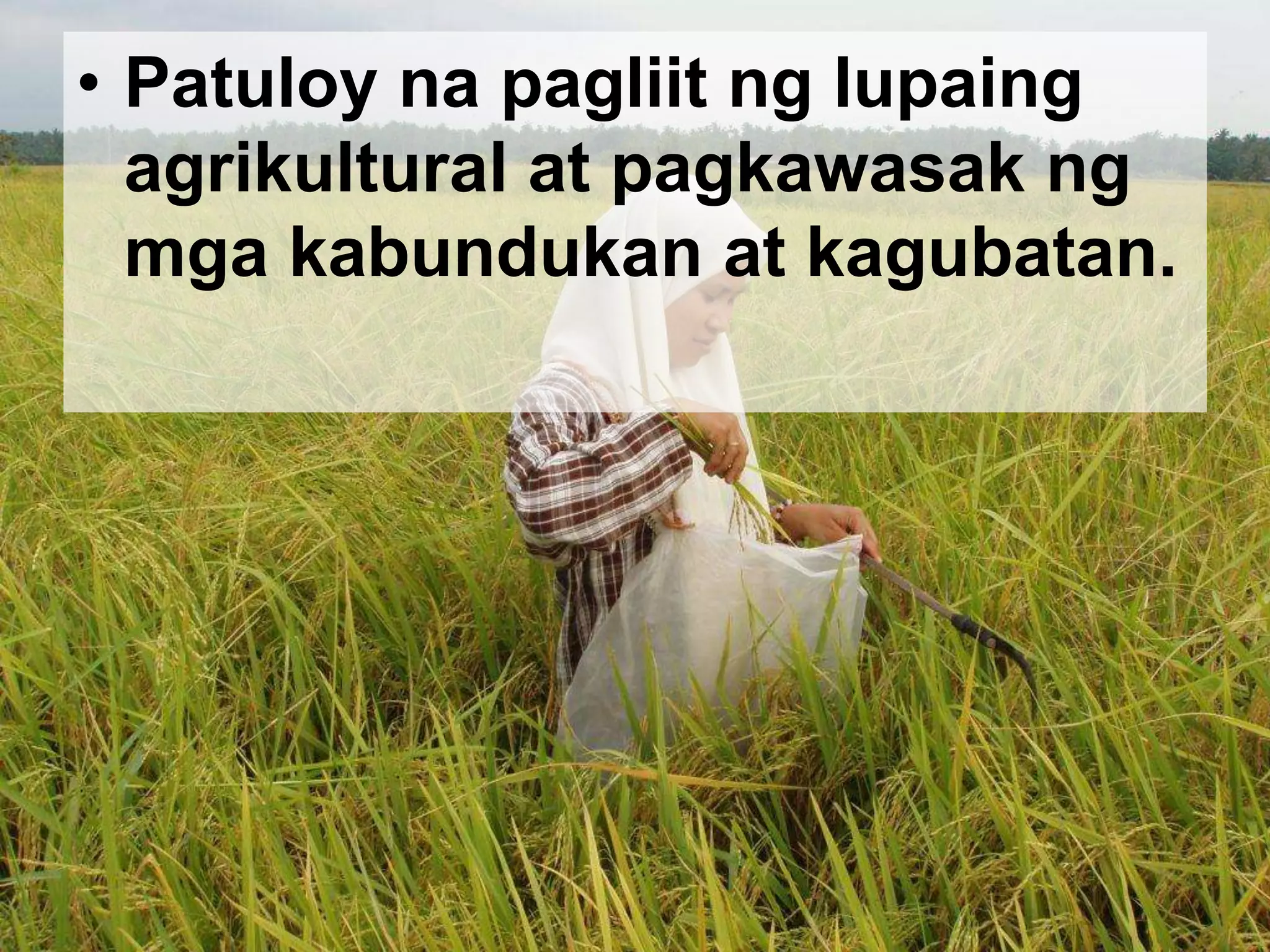 • Patuloy na pagliit ng lupaing
agrikultural at pagkawasak ng
mga kabundukan at kagubatan.
 