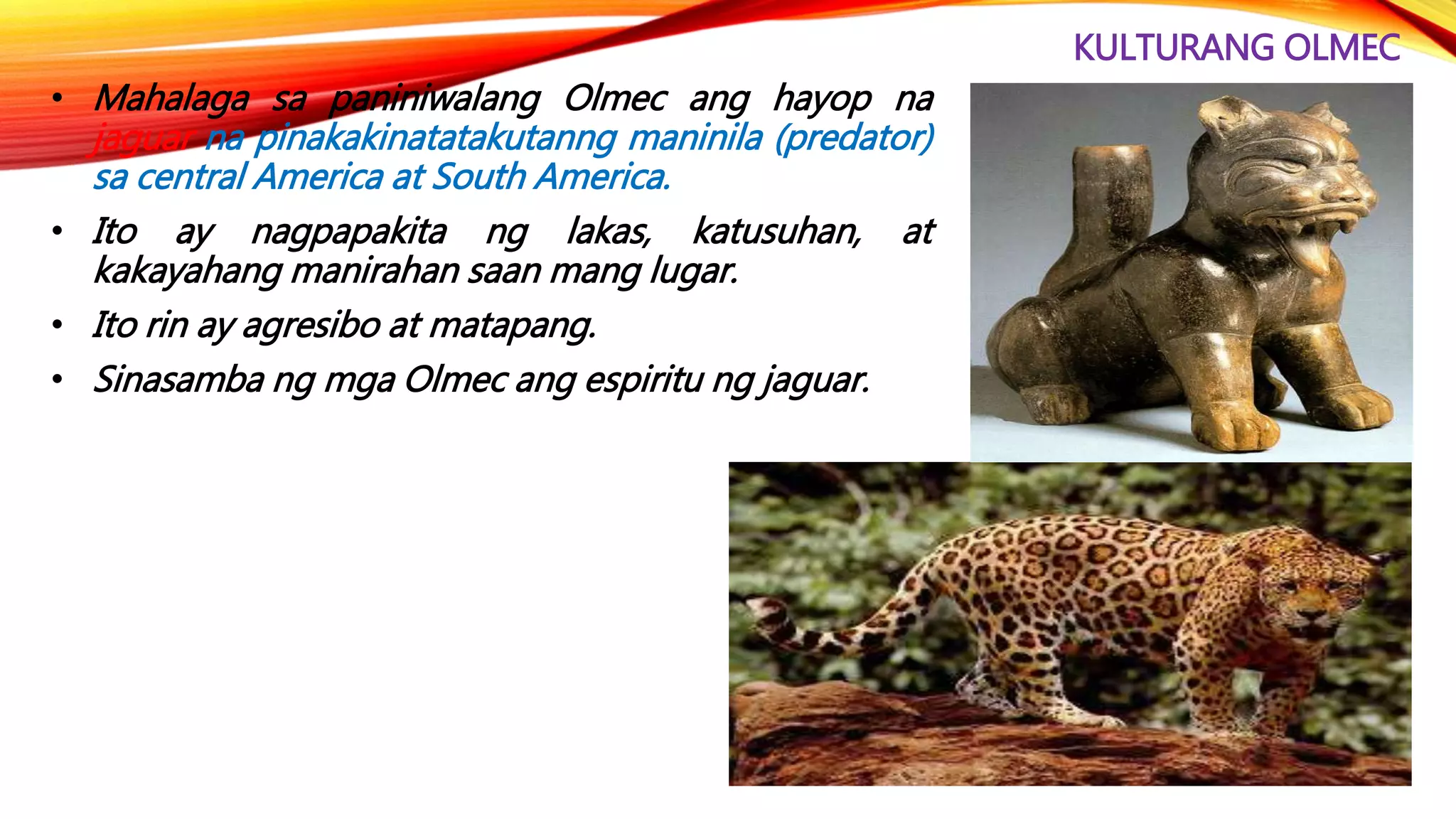 KULTURANG OLMEC
• Mahalaga sa paniniwalang Olmec ang hayop na
jaguar na pinakakinatatakutanng maninila (predator)
sa central America at South America.
• Ito ay nagpapakita ng lakas, katusuhan, at
kakayahang manirahan saan mang lugar.
• Ito rin ay agresibo at matapang.
• Sinasamba ng mga Olmec ang espiritu ng jaguar.
 