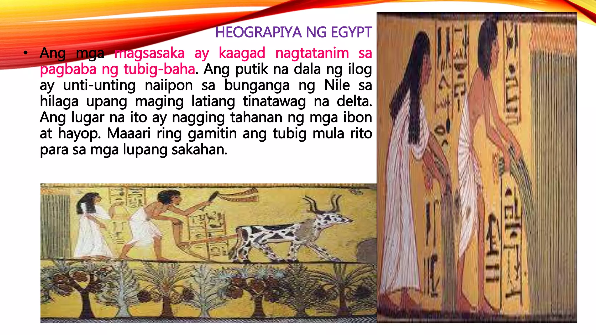 HEOGRAPIYA NG EGYPT
• Ang mga magsasaka ay kaagad nagtatanim sa
pagbaba ng tubig-baha. Ang putik na dala ng ilog
ay unti-unting naiipon sa bunganga ng Nile sa
hilaga upang maging latiang tinatawag na delta.
Ang lugar na ito ay nagging tahanan ng mga ibon
at hayop. Maaari ring gamitin ang tubig mula rito
para sa mga lupang sakahan.
 