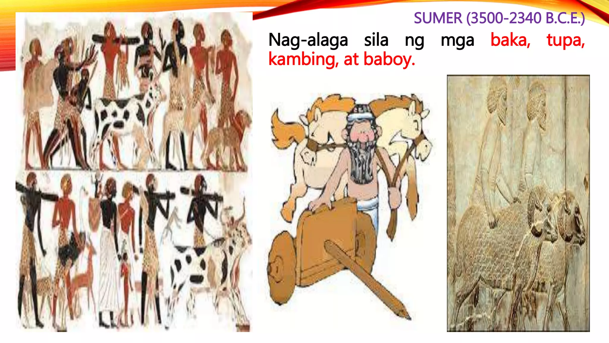 SUMER (3500-2340 B.C.E.)
• Nag-alaga sila ng mga baka, tupa,
kambing, at baboy.
 