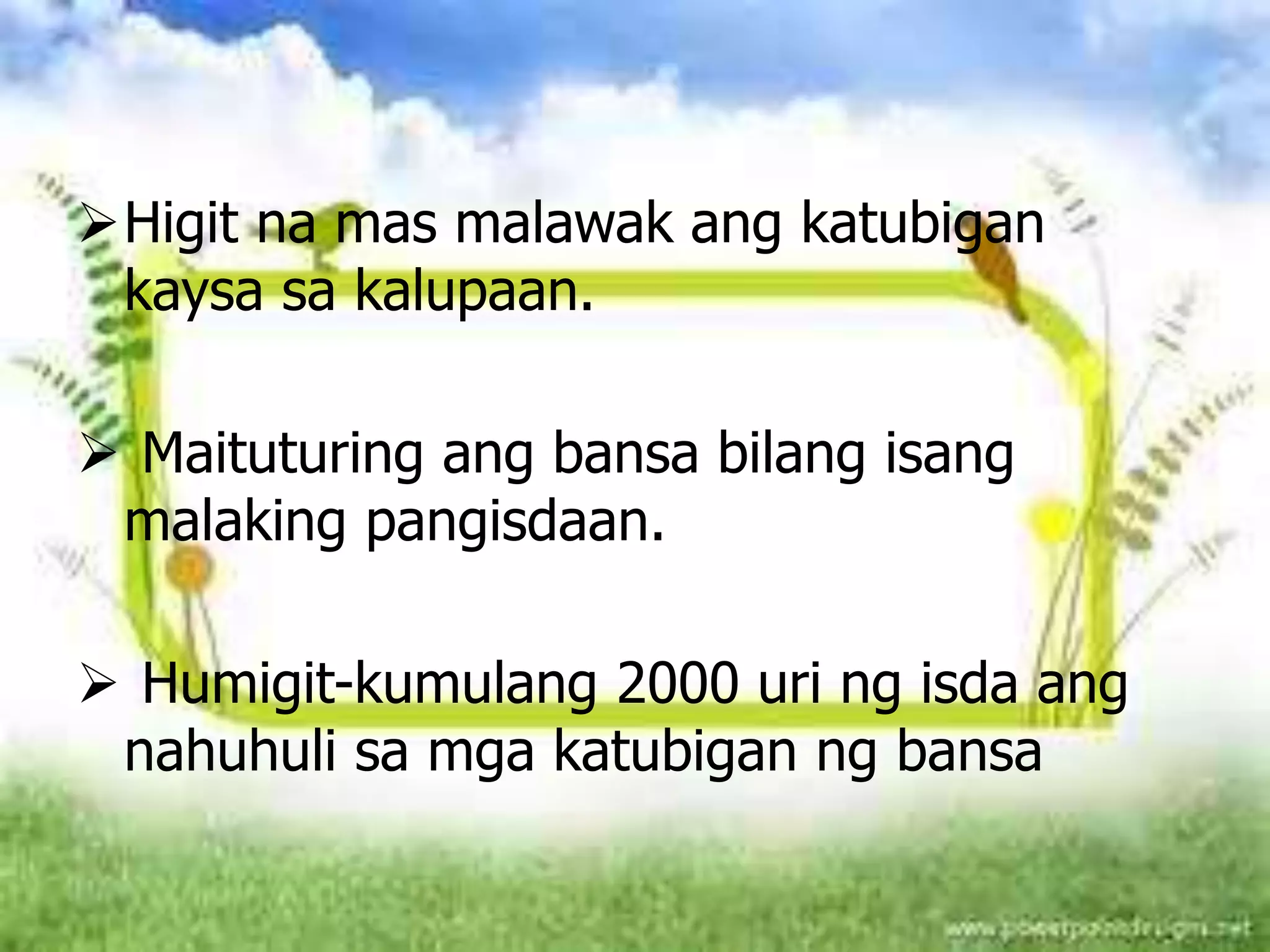 Ang mga Yaman ng Pilipinas | PPTX