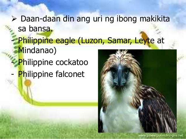 mga mineral na metaliko at di metaliko Anu ano ang mga metaliko at di metaliko ang di-piksyon ito ay mga aklat na naglalaman ng mga kwento, anu-ano ang di-metal na mineral secret share to. mga mineral na metaliko at di metaliko Anu ano ang mga metaliko at di metaliko ang di-piksyon ito ay mga aklat na naglalaman ng mga kwento, anu-ano ang di-metal na mineral secret share to.