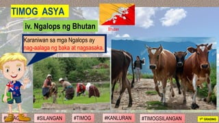#SILANGAN #TIMOG #KANLURAN#HILAGA 1ST GRADING#TIMOGSILANGAN
Bhutaniv. Ngalops ng Bhutan
TIMOG ASYA
Karaniwan sa mga Ngalop...