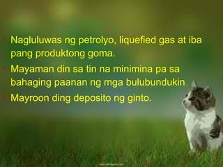 
Nagluluwas ng petrolyo, liquefied gas at iba
pang produktong goma.

Mayaman din sa tin na minimina pa sa
bahaging paanan ng mga bulubundukin

Mayroon ding deposito ng ginto.
 