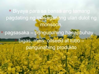  Biyaya para sa bansa ang tamang
pagdating ng masaganang ulan dulot ng
monsoon.

pagsasaka – pangunahing hanapbuhay
 bigas, mais, oilseed at tubo –
pangunahing produkto
 
