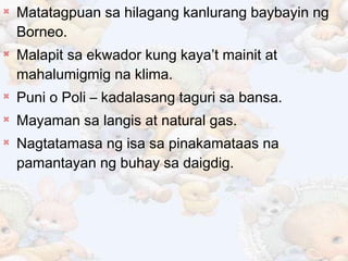  Matatagpuan sa hilagang kanlurang baybayin ng
Borneo.
 Malapit sa ekwador kung kaya’t mainit at
mahalumigmig na klima.

Puni o Poli – kadalasang taguri sa bansa.

Mayaman sa langis at natural gas.
 Nagtatamasa ng isa sa pinakamataas na
pamantayan ng buhay sa daigdig.
 