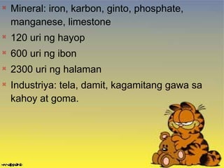 
Mineral: iron, karbon, ginto, phosphate,
manganese, limestone

120 uri ng hayop

600 uri ng ibon

2300 uri ng halaman

Industriya: tela, damit, kagamitang gawa sa
kahoy at goma.
 