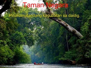 Pinakamatandang kagubatan sa daidigPinakamatandang kagubatan sa daidig..
Taman Negara
 