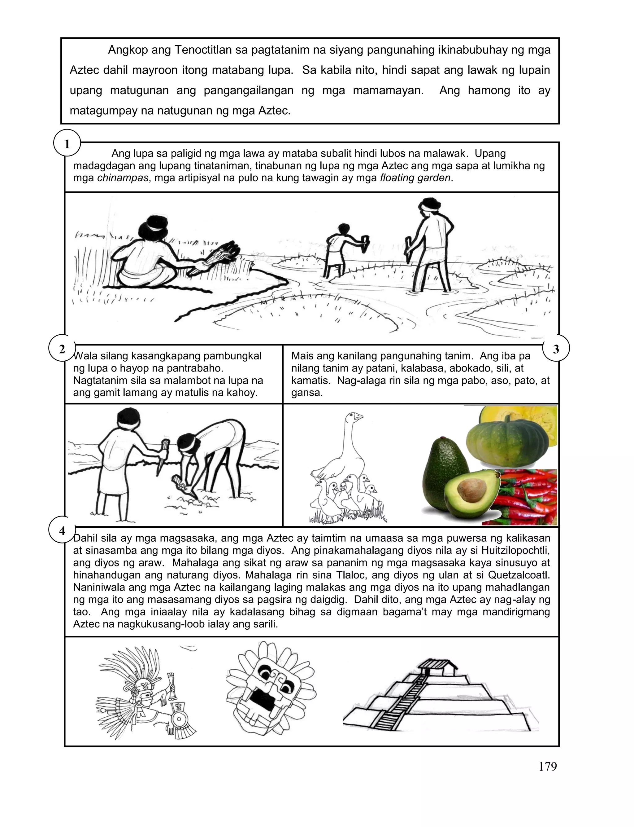 179
Ang lupa sa paligid ng mga lawa ay mataba subalit hindi lubos na malawak. Upang
madagdagan ang lupang tinataniman, tinabunan ng lupa ng mga Aztec ang mga sapa at lumikha ng
mga chinampas, mga artipisyal na pulo na kung tawagin ay mga floating garden.
1
Wala silang kasangkapang pambungkal
ng lupa o hayop na pantrabaho.
Nagtatanim sila sa malambot na lupa na
ang gamit lamang ay matulis na kahoy.
Mais ang kanilang pangunahing tanim. Ang iba pa
nilang tanim ay patani, kalabasa, abokado, sili, at
kamatis. Nag-alaga rin sila ng mga pabo, aso, pato, at
gansa.
2 3
Angkop ang Tenoctitlan sa pagtatanim na siyang pangunahing ikinabubuhay ng mga
Aztec dahil mayroon itong matabang lupa. Sa kabila nito, hindi sapat ang lawak ng lupain
upang matugunan ang pangangailangan ng mga mamamayan. Ang hamong ito ay
matagumpay na natugunan ng mga Aztec.
Dahil sila ay mga magsasaka, ang mga Aztec ay taimtim na umaasa sa mga puwersa ng kalikasan
at sinasamba ang mga ito bilang mga diyos. Ang pinakamahalagang diyos nila ay si Huitzilopochtli,
ang diyos ng araw. Mahalaga ang sikat ng araw sa pananim ng mga magsasaka kaya sinusuyo at
hinahandugan ang naturang diyos. Mahalaga rin sina Tlaloc, ang diyos ng ulan at si Quetzalcoatl.
Naniniwala ang mga Aztec na kailangang laging malakas ang mga diyos na ito upang mahadlangan
ng mga ito ang masasamang diyos sa pagsira ng daigdig. Dahil dito, ang mga Aztec ay nag-alay ng
tao. Ang mga iniaalay nila ay kadalasang bihag sa digmaan bagama’t may mga mandirigmang
Aztec na nagkukusang-loob ialay ang sarili.
4
 