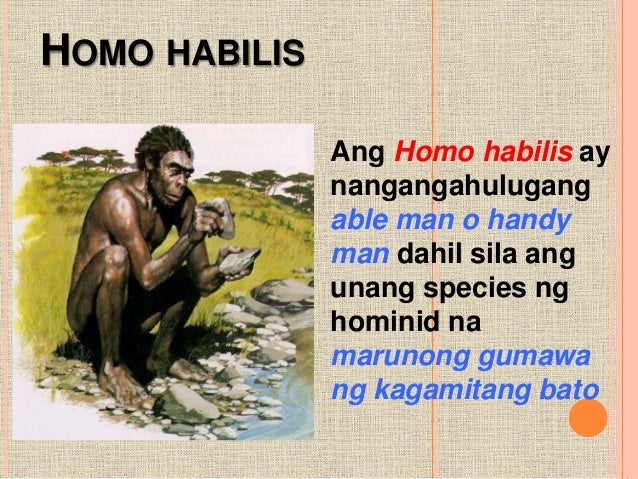 Araling panlipunan grade 8 aralin 2 Sinaunang tao