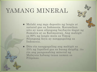 likas na yaman ng timog silangang asya | PPT