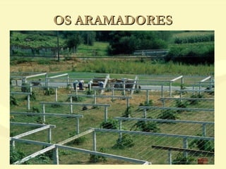 OS ARAMADORESOS ARAMADORES
 