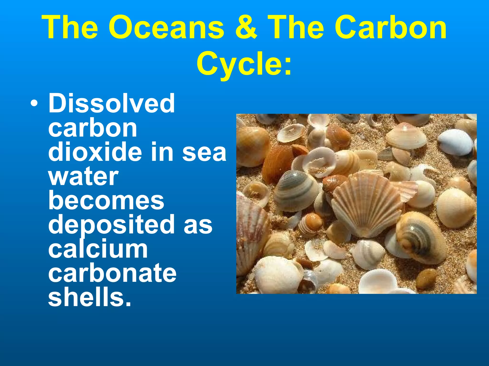 The Oceans & The Carbon Cycle: Dissolved carbon dioxide in sea water becomes deposited as calcium carbonate shells. 