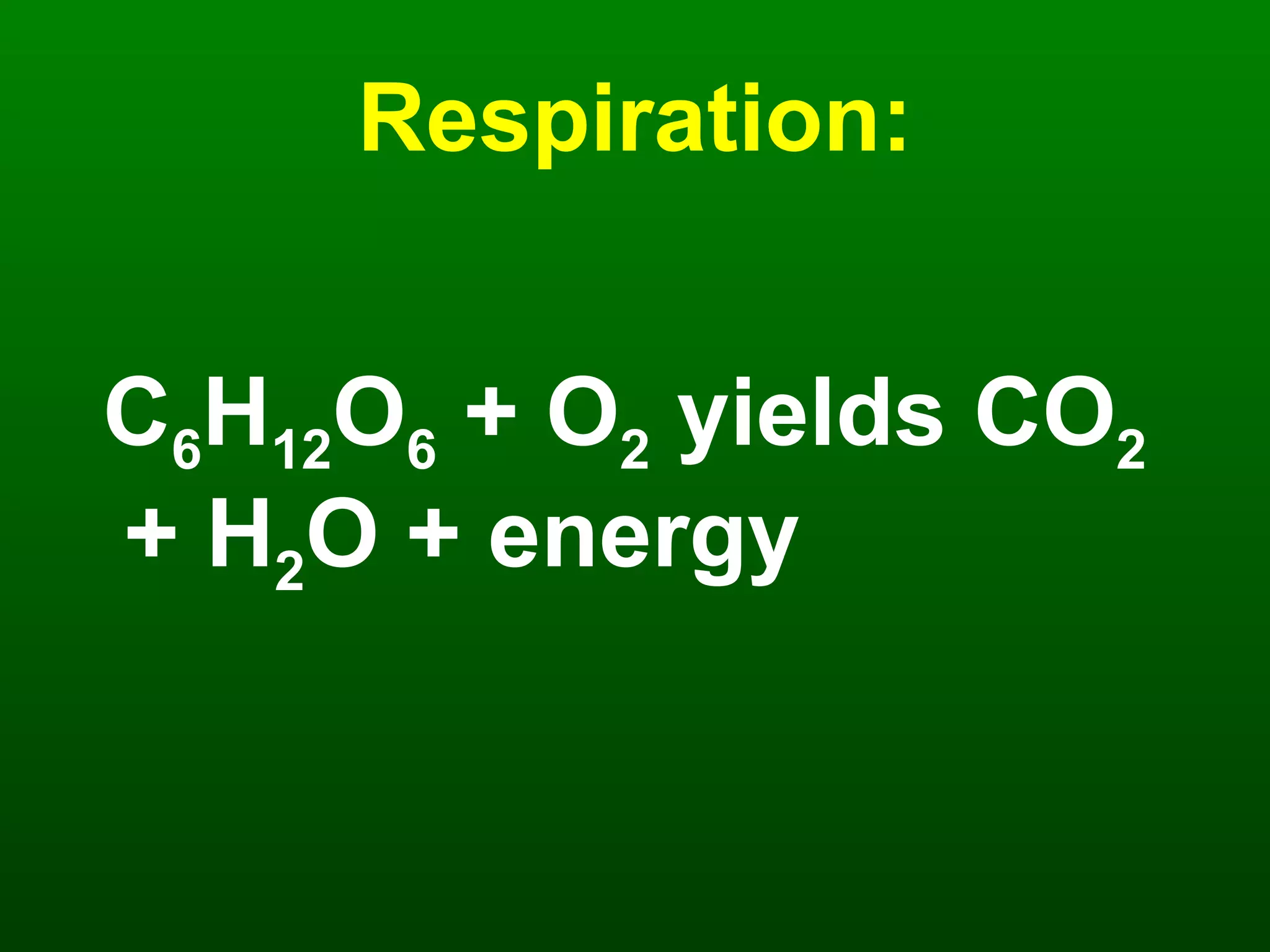 Respiration: C 6 H 12 O 6  + O 2  yields CO 2  + H 2 O + energy 