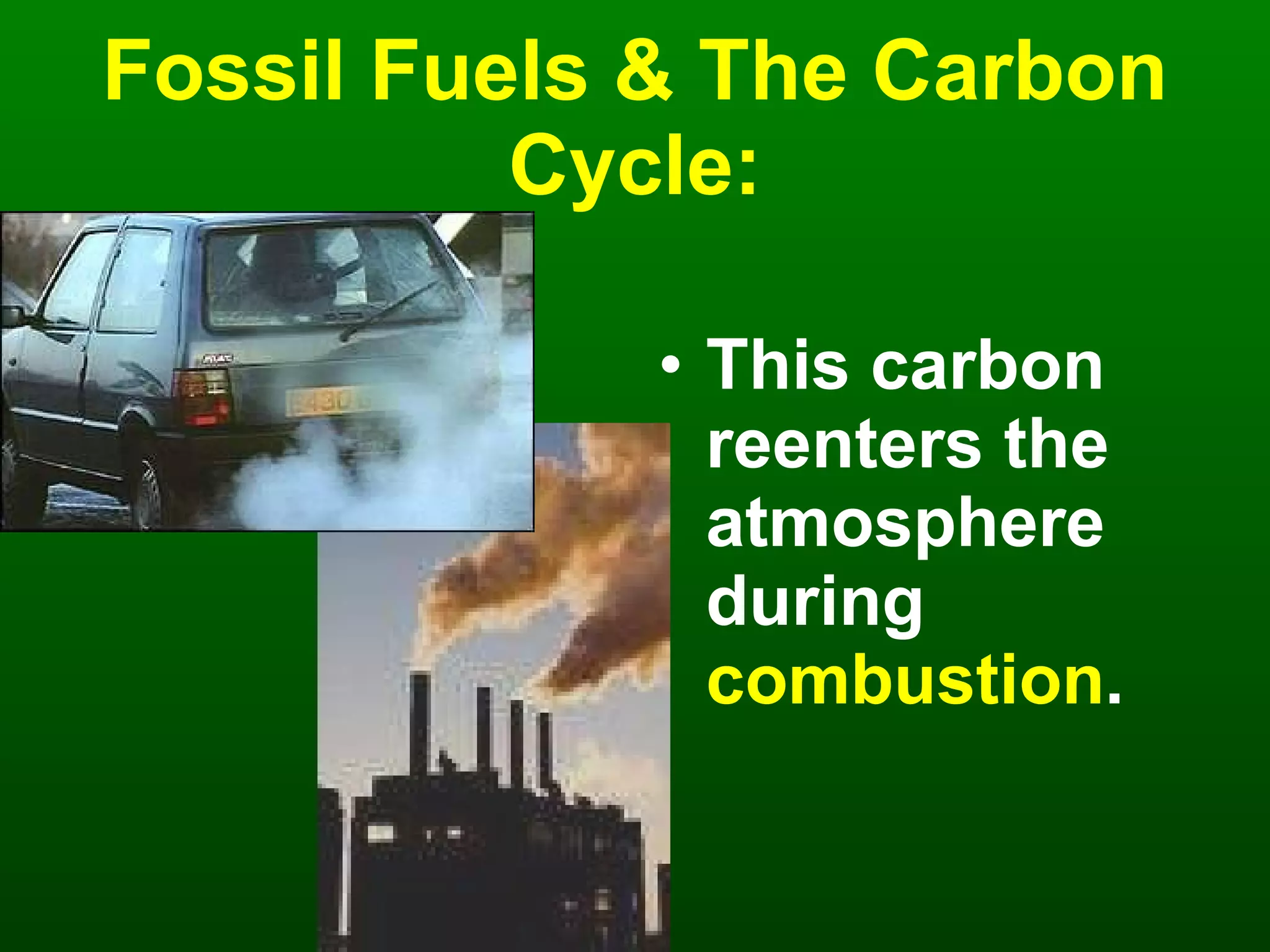 Fossil Fuels & The Carbon Cycle: This carbon reenters the atmosphere during   combustion . 