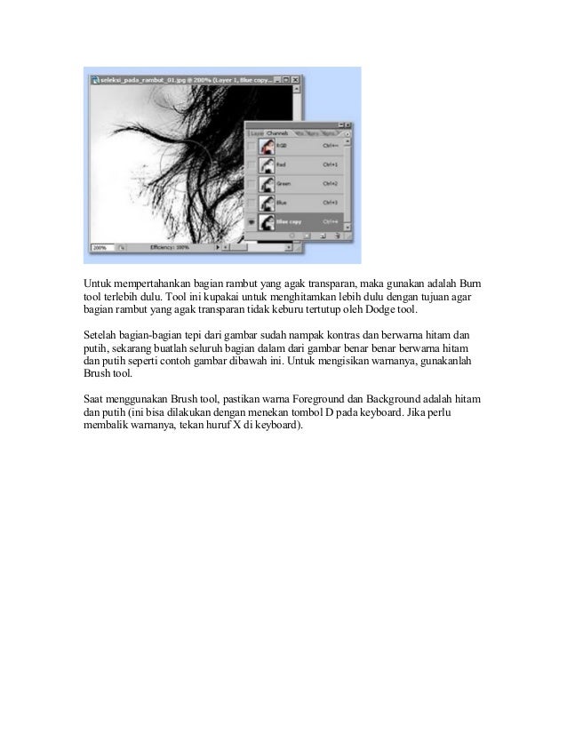 Ara membuat  seleksi rambut  pada photoshop dengan  detil