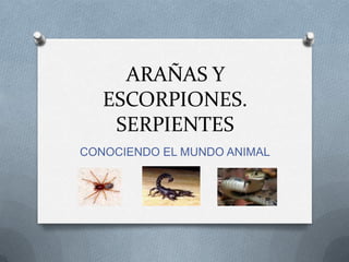 ARAÑAS Y
ESCORPIONES.
SERPIENTES
CONOCIENDO EL MUNDO ANIMAL
 