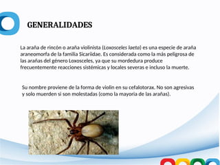 Entomologia y clinica de Araña violinista.ppt