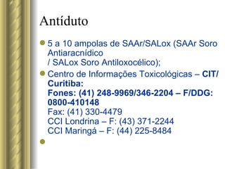 Antíduto 5 a 10 ampolas de SAAr/SALox (SAAr Soro Antiaracnídico / SALox Soro Antiloxocélico); Centro de Informações Toxicológicas –  CIT/Curitiba: Fones: (41) 248-9969/346-2204 – F/DDG: 0800-410148 Fax: (41) 330-4479  CCI Londrina – F: (43) 371-2244 CCI Maringá – F: (44) 225-8484   