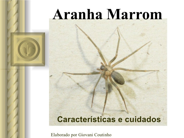 De Acordo Com A Conceituação Proposta Por Aranha