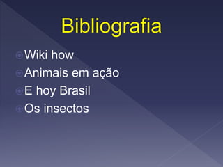 Wiki how
Animais em ação
E hoy Brasil
Os insectos
 