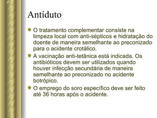 O tratamento complementar consiste na limpeza local com anti-sépticos e hidratação do doente de maneira semelhante ao preconizado para o acidente crotálico. A vacinação anti-tetânica está indicada. Os antibióticos devem ser utilizados quando houver infecção secundária de maneira semelhante ao preconizado no acidente botrópico.  O emprego do soro específico deve ser feito até 36 horas após o acidente. Antíduto 