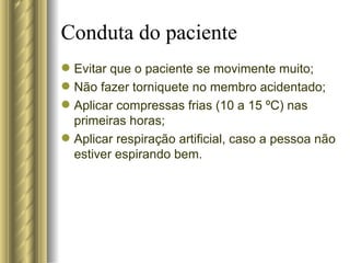 Conduta do paciente Evitar que o paciente se movimente muito; Não fazer torniquete no membro acidentado; Aplicar compressas frias (10 a 15 ºC) nas primeiras horas; Aplicar respiração artificial, caso a pessoa não estiver espirando bem. 