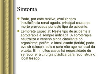 Pode, por este motivo, evoluir para insuficiência renal aguda, principal causa de morte provocada por este tipo de acidente; Lembrete Especial: Neste tipo de acidente a soroterapia é sempre indicada. A soroterapia neutraliza o veneno ainda circulante no organismo; porém, o local lesado (ferida) pode evoluir (piorar), pois o soro não age no local da picada. Em muitos casos há necessidade de se recorrer à cirurgia plástica para reconstruir o local lesado. Sintoma 