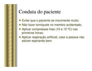 Conduta do paciente
Evitar que o paciente se movimente muito;
Não fazer torniquete no membro acidentado;
Aplicar compressas frias (10 a 15 ºC) nas
primeiras horas;
Aplicar respiração artificial, caso a pessoa não
estiver espirando bem.
 