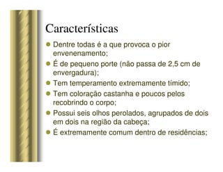 Características
Dentre todas é a que provoca o pior
envenenamento;
É de pequeno porte (não passa de 2,5 cm de
envergadura);
Tem temperamento extremamente tímido;
Tem coloração castanha e poucos pelos
recobrindo o corpo;
Possui seis olhos perolados, agrupados de dois
em dois na região da cabeça;
É extremamente comum dentro de residências;
 