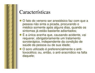 O fato do veneno ser anestésico faz com que a
pessoa não sinta a picada, procurando o
médico somente após alguns dias, quando os
sintomas já estão bastante adiantados;
É a única aranha que, causando acidente, vai
requerer, obrigatoriamente um tratamento
soroterápico, independente da condição de
saúde da pessoa ou de sua idade;
O soro utilizado é preferencialmente o anti-
loxocélico; ou, então, o anti-aracnídico na falta
daquele;
Características
 