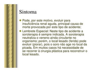 Pode, por este motivo, evoluir para
insuficiência renal aguda, principal causa de
morte provocada por este tipo de acidente;
Lembrete Especial: Neste tipo de acidente a
soroterapia é sempre indicada. A soroterapia
neutraliza o veneno ainda circulante no
organismo; porém, o local lesado (ferida) pode
evoluir (piorar), pois o soro não age no local da
picada. Em muitos casos há necessidade de
se recorrer à cirurgia plástica para reconstruir o
local lesado.
Sintoma
 