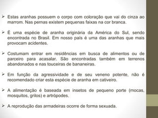  Estas aranhas possuem o corpo com coloração que vai do cinza ao
marrom. Nas pernas existem pequenas faixas na cor branca.
 É uma espécie de aranha originária da América do Sul, sendo
encontrada no Brasil. Em nosso país é uma das aranhas que mais
provocam acidentes.
 Costumam entrar em residências em busca de alimentos ou de
parceiro para acasalar. São encontradas também em terrenos
abandonados e nas touceiras de bananeiras.
 Em função da agressividade e de seu veneno potente, não é
recomendado criar esta espécie de aranha em cativeiro.
 A alimentação é baseada em insetos de pequeno porte (mocas,
mosquitos, grilos) e artrópodes.
 A reprodução das armadeiras ocorre de forma sexuada.
 