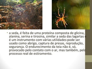 • a seda, é feita de uma proteína composta de glicina,
alanina, serina e tirosina, similar a seda das lagartas e
é um instrumento com várias utilidades:pode ser
usado como abrigo, captura de presas, reprodução,
segurança. O endurecimento da teia não é, só,
provocado pelo contato com o ar, mas também, pelo
processo real de estiramento.
 