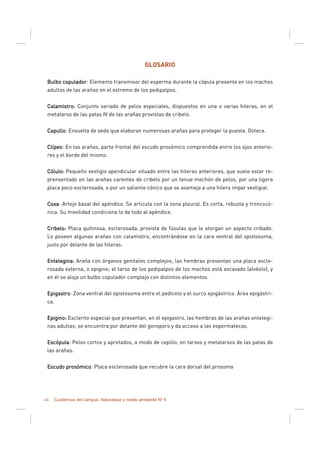 44 Cuadernos del campus. Naturaleza y medio ambiente Nº 6
GLOSARIO
Bulbo copuladorBulbo copuladorBulbo copuladorBulbo copulador: Elemento transmisor del esperma durante la cópula presente en los machos
adultos de las arañas en el extremo de los pedipalpos.
Calamistro:Calamistro:Calamistro:Calamistro: Conjunto seriado de pelos especiales, dispuestos en una o varias hileras, en el
metatarso de las patas IV de las arañas provistas de cribelo.
CapulloCapulloCapulloCapullo: Envuelta de seda que elaboran numerosas arañas para proteger la puesta. Ooteca.
ClípeoClípeoClípeoClípeo: En las arañas, parte frontal del escudo prosómico comprendida entre los ojos anterio-
res y el borde del mismo.
Cólulo:Cólulo:Cólulo:Cólulo: Pequeño vestigio apendicular situado entre las hileras anteriores, que suele estar re-
prensentado en las arañas carentes de cribelo por un tenue mechón de pelos, por una ligera
placa poco esclerosada, o por un saliente cónico que se asemeja a una hilera impar vestigial.
CoxaCoxaCoxaCoxa: Artejo basal del apéndice. Se articula con la zona pleural. Es corta, robusta y troncocó-
nica. Su movilidad condiciona la de todo al apéndice.
Cribelo:Cribelo:Cribelo:Cribelo: Placa quitinosa, esclerosada, provista de fúsulas que le otorgan un aspecto cribado.
Lo poseen algunas arañas con calamistro, encontrándose en la cara ventral del opistosoma,
justo por delante de las hileras.
Entelegina:Entelegina:Entelegina:Entelegina: Araña con órganos genitales complejos; las hembras presentan una placa escle-
rosada externa, o epigino; el tarso de los pedipalpos de los machos está excavado (alvéolo), y
en él se aloja un bulbo copulador complejo con distintos elementos.
EpigastroEpigastroEpigastroEpigastro: Zona ventral del opistosoma entre el pedicelo y el surco epigástrico. Área epigástri-
ca.
Epigino:Epigino:Epigino:Epigino: Esclerito especial que presentan, en el epigastro, las hembras de las arañas entelegi-
nas adultas; se encuentra por delante del gonoporo y da acceso a las espermatecas.
EscópulaEscópulaEscópulaEscópula: Pelos cortos y apretados, a modo de cepillo, en tarsos y metatarsos de las patas de
las arañas.
EscudoEscudoEscudoEscudo prosómicoprosómicoprosómicoprosómico: Placa esclerosada que recubre la cara dorsal del prosoma
 