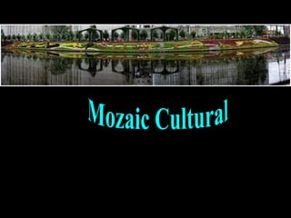 Mozaic cultural Mozaic Cultural 