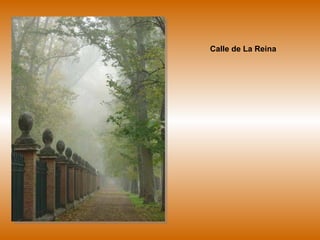 Calle de La Reina 