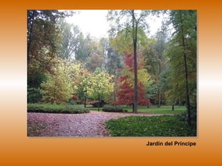 Jardín del Príncipe 
