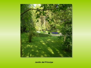 Jardín del Príncipe 