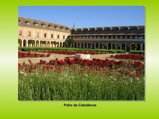 Patio de Caballeros 
