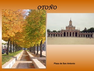 OTOÑO Plaza de San Antonio 