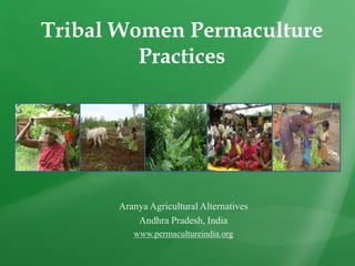 Tribal Women Permaculture
Practices
Aranya Agricultural Alternatives
Andhra Pradesh, India
www.permacultureindia.org
 