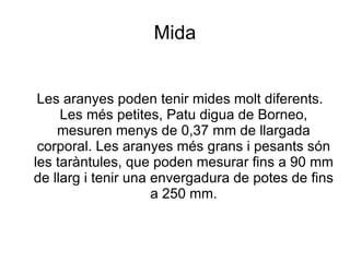 Mida Les aranyes poden tenir mides molt diferents. Les més petites, Patu digua de Borneo, mesuren menys de 0,37 mm de llargada corporal. Les aranyes més grans i pesants són les taràntules, que poden mesurar fins a 90 mm de llarg i tenir una envergadura de potes de fins a 250 mm. 
