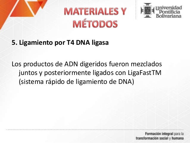 slideshare