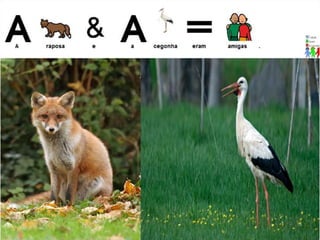 A raposa e a cegonha