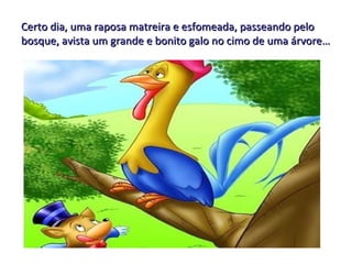 Certo dia, uma raposa matreira e esfomeada, passeando pelo bosque, avista um grande e bonito galo no cimo de uma árvore… 