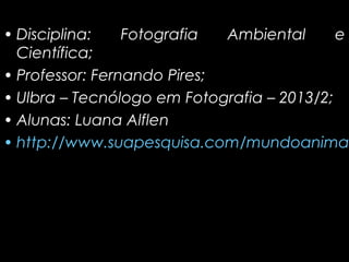 Fotografia
Ambiental
e
• Disciplina:
Científica;
• Professor: Fernando Pires;
• Ulbra – Tecnólogo em Fotografia – 2013/2;
• Alunas: Luana Alflen
• http://www.suapesquisa.com/mundoanima

 